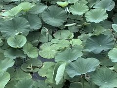 -人杰湖公园(地铁站)