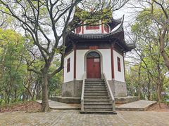 -上海佘山国家森林公园天马山园