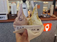 -野人先生Gelato(上海长宁龙之梦店)