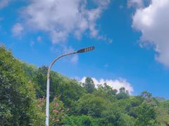 -黔灵山公园