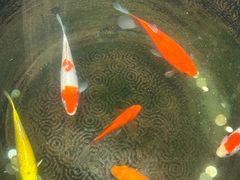 -福建省非物质文化遗产博览苑