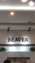 -798·beaver海狸荟