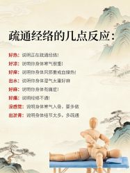 -玛莲朵·海菲秀冰珀科