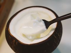 椰子冻-志龙皇冠吃货椰子铺