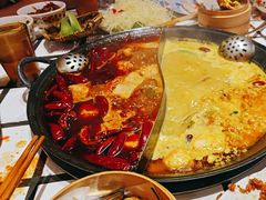 -朱光玉火锅馆(正弘城店)
