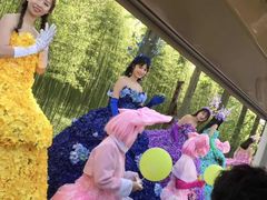 -黄海国家森林公园