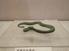 -青藏高原自然博物馆