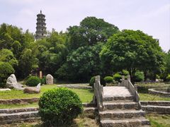 -祥源·阜阳生态乐园