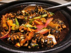 猛火生啫啫黄鳝-十六台·经典广东菜(德外大街店)