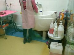 -喵宠乐园·撸猫互动·猫舍