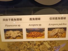 -天津自然博物馆