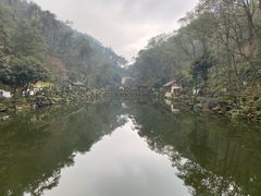 -南山植物园