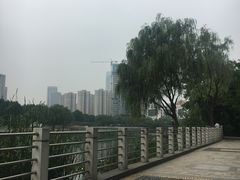 -后襄河公园