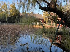 -宫事颐庭·老佛爷贵寿下午茶(颐和园店)