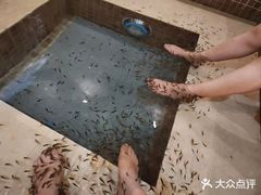 -中家鑫园温泉酒店鑫悦汤泉