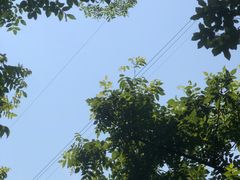 -德胜岩景区
