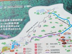 -野象谷景区
