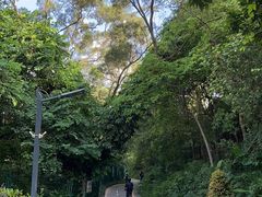 -梧桐山风景名胜区