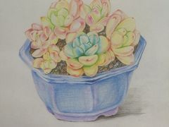 -黑骏画室·深圳美术中高考黄埔军校