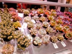 -KKV(深圳宏发大仟里店)