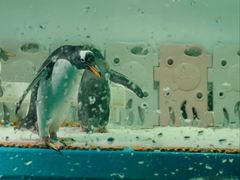 -正佳极地海洋世界