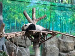 -灵玲国际马戏城