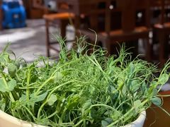 豌豆苗-重庆地瓜老火锅(广渠门店)