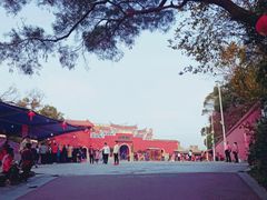 -金鸡山公园