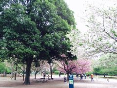 iphone_upload_pic-三鹰之森吉卜力美术馆