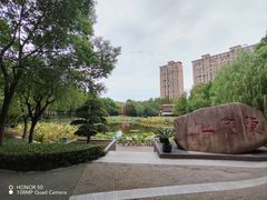 -陈家山荷花公园