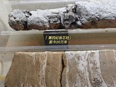 -大庆市博物馆