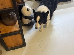 -木子陶艺(春熙路店)