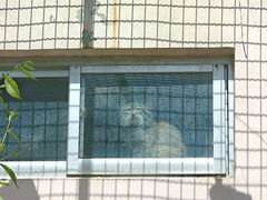 -青藏高原野生动物园
