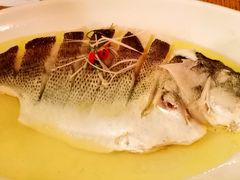 非一般的鲈鱼-热度餐厅(老佛爷店)