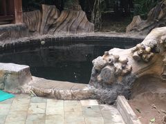 -龙达温泉生态城