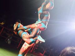 -广州长隆国际大马戏