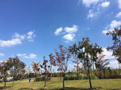 -上海山野camping·户外天幕烧烤·团建拓展营地