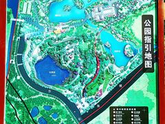 -王借岗森林公园