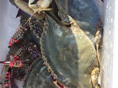 -岚桥锦江大酒店-瑞泰西餐厅