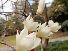 -塔子山公园