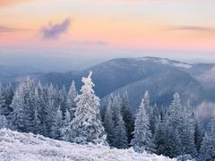 -东北酱骨头馆(蓁巷店)