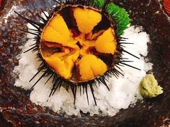 -樱の花亭日本料理店
