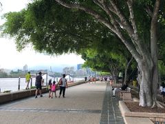 -布里斯班南岸公园