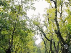 -颐和路民国时期公馆风貌区
