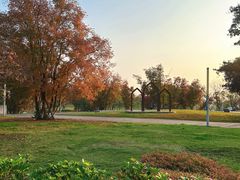 -白鹭湾湿地公园