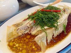 -鲤鱼塘农家山庄