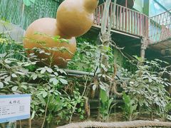 -呀路古热带植物园