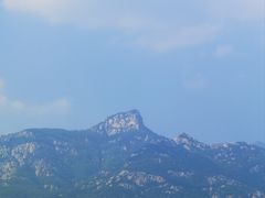 -万达广场(泰安泰山店)