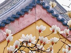 -龙华寺