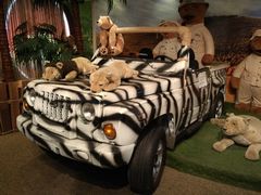 -济州岛泰迪熊博物馆